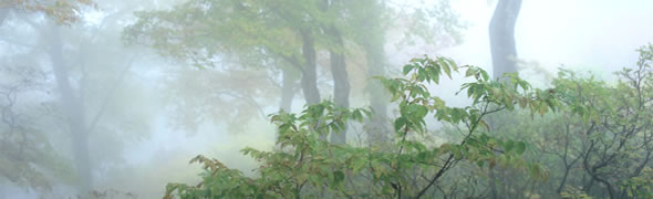 朝日連峰登山口　朝日鉱泉口