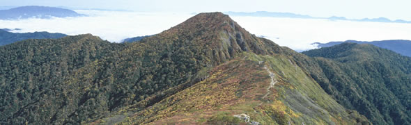 朝日連峰登山口 ぶな峠口